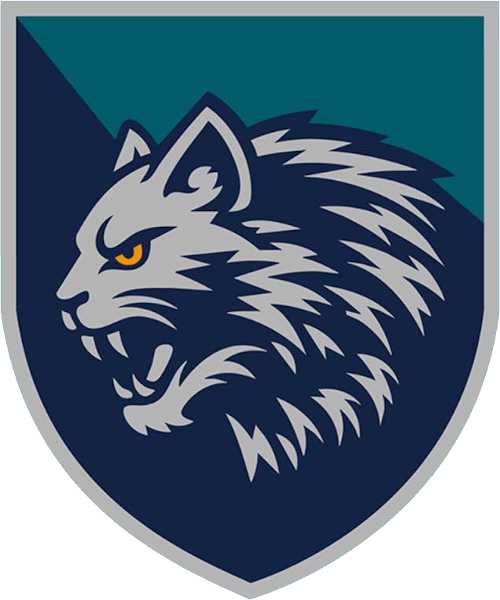 Patch of 34th Marine Brigade ZSU
