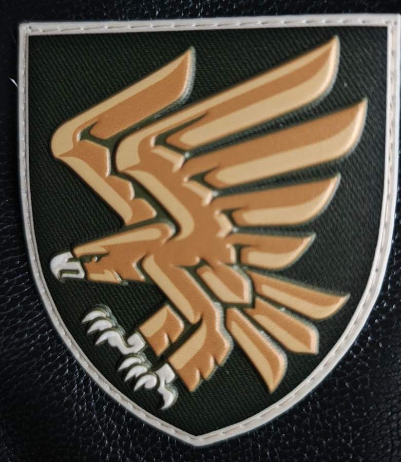 Patch of the 95th brigade